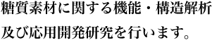 糖質バイオ研究部門