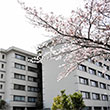 School of Nursing