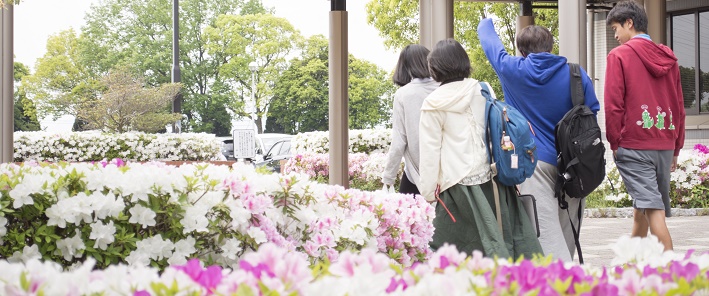 初夏のキャンパス