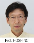 Prof. Hshino