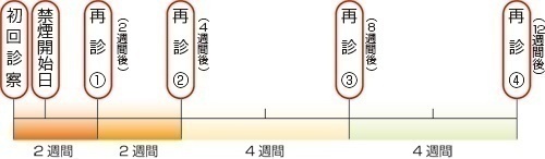 標準禁煙治療のスケジュール