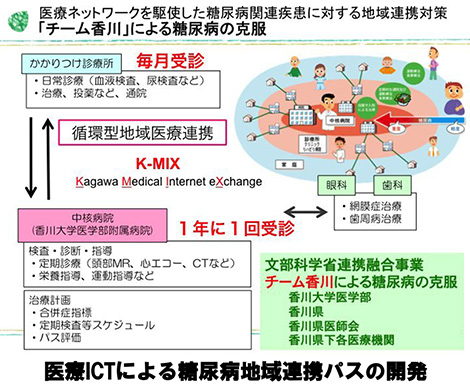 チーム香川による生活習慣病・糖尿病克服モデル