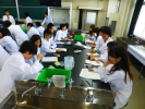 P1050827.JPG