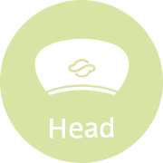 Head