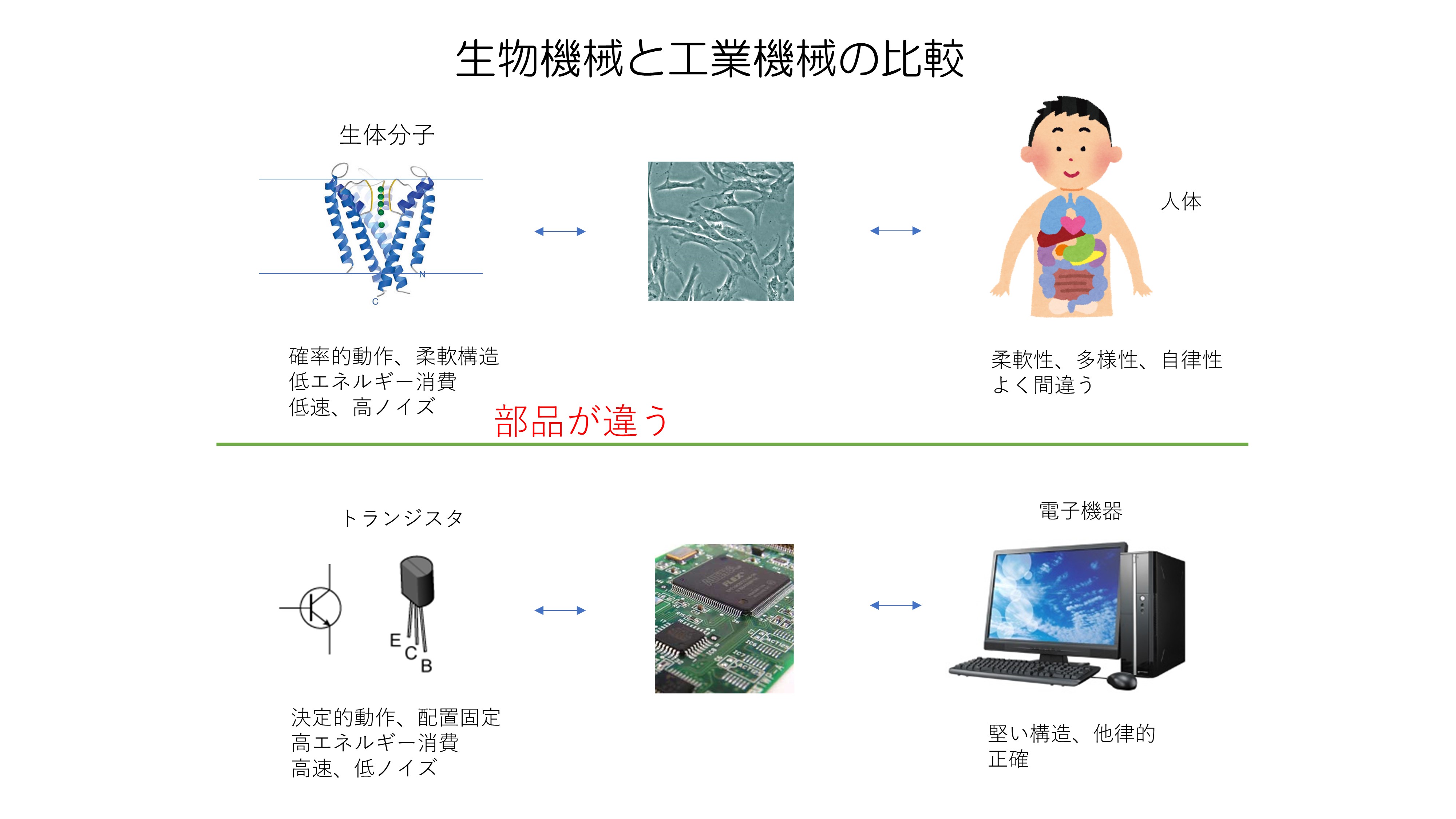 研究概略