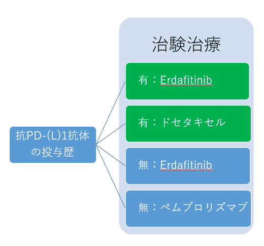 治験デザインの概略