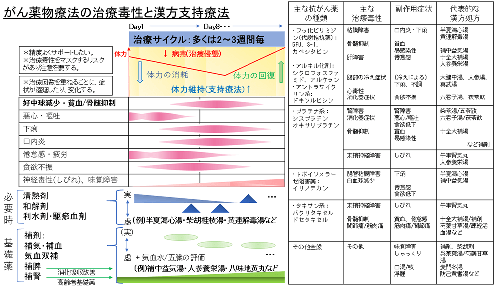 がん薬物療法の治療毒性と漢方支持療法